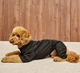 Костюм Dogsbomba рубчик з утепленням чорний D-261 розмір 6 (D-261/6) - изображение 2