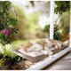 Подвесная лежанка - гамак для кошек Window Mounted Cat Bed - изображение 2
