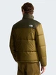 Куртка демісезонна чоловіча The North Face NF0A8J3WRL21 S Оливкова (800070362819) - зображення 2