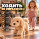 Інтерактивна собачка TUMAMA Kids WYH-281, плюшева іграшка-робот, ходить, гавкає, виляє хвостом, реагує на дотик і звук, коричнева - зображення 4