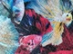 Пазл Tactic Бійцівські рибки 1000 елементів (56627) - зображення 2