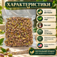 Фисташки очищенные сырые 1010 г натуральные несоленые орехи без скорлупы необжаренные ядра для перекуса выпечки десертов салатов кондитерских изделий кулинарии - изображение 3