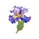 Брошь BROCHE Цветок Ирис фиолетовый BRBF115662 - изображение 1