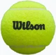 М'ячі для падел-тенісу Wilson Padel 3 ball can Жовтий (WR8900801001) (97512510264) - зображення 2