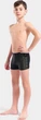 Плавки-шорты для мальчиков Arena PAINTERLY SWIM SHORT черный Дит 140 см - изображение 2