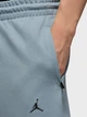 Спортивные штаны мужские Jordan M J Df Sprt Hoop Flc Pant FV8604-041 M Серые с синим (198481083770) - изображение 3