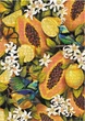 Puzzle DoDo Easy-XL Botanika Owoce tropikalne 300616 (4823115909800) - obraz 3