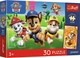 Пазл Trefl Premium Plus Kids Paw Patrol Dogs on the way 30 елементів (5900511183467) - зображення 1