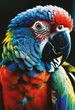 Puzzle Interdruk Barwna natura Papuga trójwarstwowe 250 elementów (5902277385550) - obraz 2