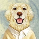 Чохол для смартфона Apple iPhone 18 Pro/iPhone 17 Pro Nimmy Gentle Pets Series Dog MagSafe Brown (6980002140840) - зображення 6