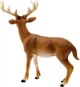 Фігурка Schleich Білохвостий олень 14818 (4055744029608) - зображення 4