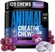 Креатин Animal Creatine Chews 120 tab (Grape) - изображение 1