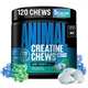 Креатин Animal Creatine Chews 120 tab (Candy Crush'd) - изображение 1