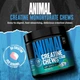 Креатин Animal Creatine Chews 120 tab (Candy Crush'd) - изображение 3
