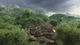 Доповнення Rising Storm 2: VIETNAM - Deluxe Edition Upgrade для ПК (Ключ активації Steam) - зображення 4