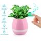 Музыкальный цветочный горшок с LED подсветкой, Smart Music Flowerpot, цвет розовый - изображение 1