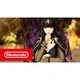 Игра Fire Emblem Warriors для Nintendo Switch (картридж, английская версия) - изображение 4