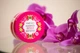 Олія для тіла Yardley Flowerazzi Magnolia & Pink Orchid Moisturising Body Butter 200 мл (5056179300644) - зображення 2