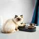 Кормушка для собак и кошек Petkit FRESH NANO-METAL Pet Cat TWO Bowl Stand (2001000207893) - изображение 3