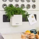 Комплект Lechuza Green Wall Home Kit Color 48х6х14 см білий 13398 - зображення 5