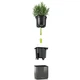 Комплект Lechuza Green Wall Home Kit Glossy 48х6х14 см антрацит 13524 - зображення 4