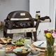 Гриль електричний Weber PULSE 2000 з підставкою PULSE CART (85010079) - зображення 9