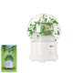 Зволожувач (ароматизатор) повітря Remax Aroma Lamp RT-A700 Green - зображення 1
