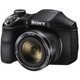 Цифровой фотоаппарат Sony Cyber-shot DSC-H300 (DSCH300.RU3). 47408 - изображение 1