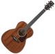 Гітара акустична Ibanez AVC9 Open Pore Natural (227141) - зображення 1