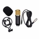 Конденсаторный микрофон ELIMA BM-800 BLACK GOLD + Звуковая карта ELIMA C-MEDIA 7.1 - изображение 3