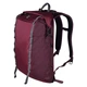 Рюкзак міський Victorinox Travel ALTMONT Active 21 л 15" Burgundy Rolltop (Vt602136) - зображення 1