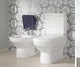 Биде напольное 37х56см VILLEROY & BOCH SENTIQUE 54230001 белое (59059) - изображение 3