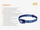 Ліхтар Fenix HL16 Blue - зображення 16