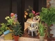 3D Румбокс Кафе "Coffee House" M027 DIY DollHouse - зображення 6