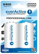 Акумулятор everActive D/HR20 10000mAh BL 2шт - изображение 1
