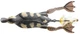 Воблер Savage Gear 3D Hollow Duckling weedless L 100 мм 40 г 01-Natural (18540268) - изображение 1