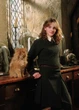Картина Gee! Harry Potter Гарри Поттер Гермиона 40х60 HP 09.068 - изображение 1
