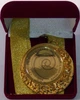 Смычок для скрипки CodaBow Diamond GX CB-DGA4 - изображение 3