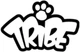USB накопитель Skelanimals - Kit 4GB, USB 2.0 (FD015303) - изображение 4