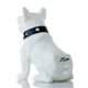 Бездротова портативна Bluetooth колонка CoolDog M10 White - зображення 2