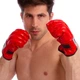 Снарядные перчатки шингарты кожаные Everlast 01044 Red размер XL - изображение 2