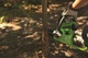 Аккумуляторная цепная пила Greenworks G24CS25 без АКБ и ЗУ - изображение 2