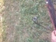 Спиннинг Flagman Vortex 2,40m 10-35g - изображение 6