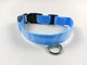 Светящийся ошейник для собак DogClub USB XS (27-33 см) Blue - изображение 2