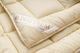 Одеяло DOTINEM CASSIA GRANDIS микрофибра зимнее 145х210 см (211378-3) - изображение 2