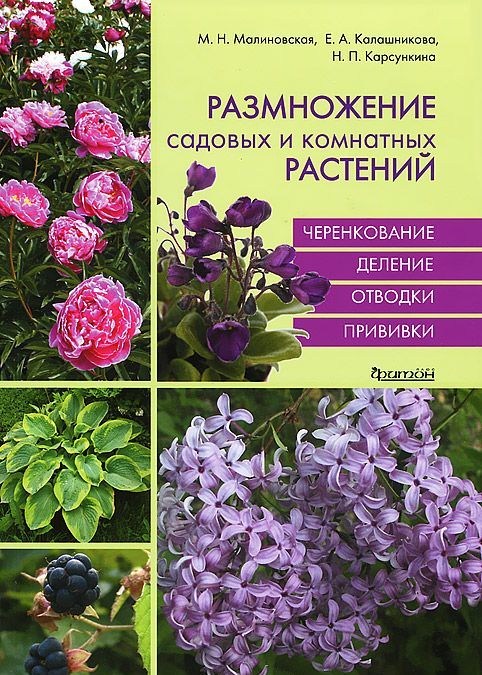 

Размножение садовых и комнатных растений