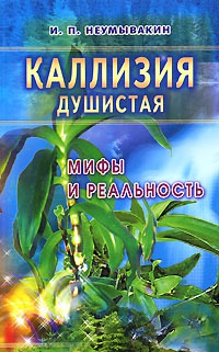 

Каллизия душистая.Мифы и реальность