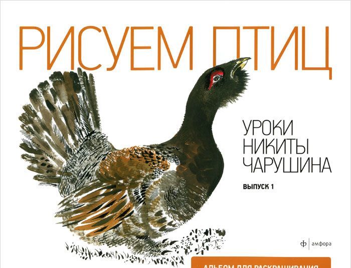 

Уроки Никиты Чарушина. Выпуск 1. Рисуем птиц