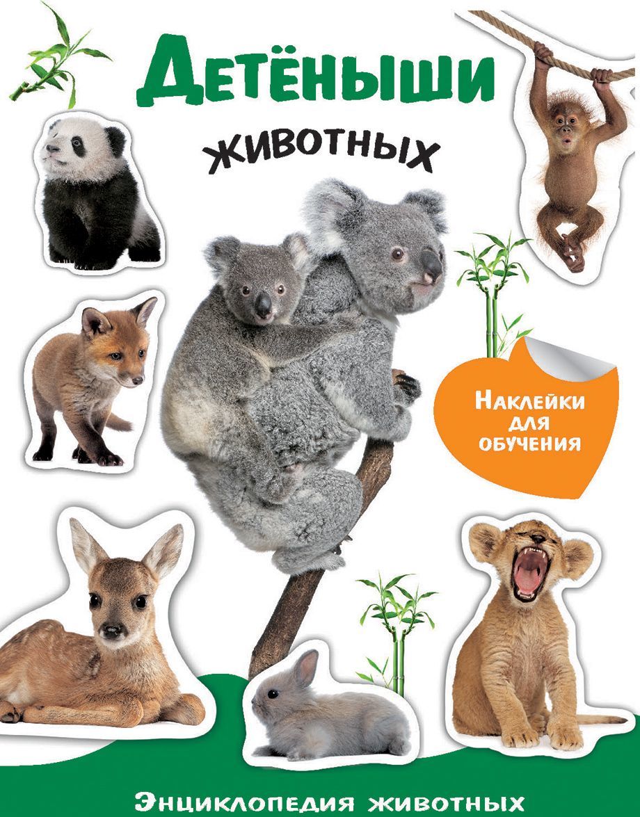 

Энциклопедия животных с наклейками. Детеныши животных (1668582)