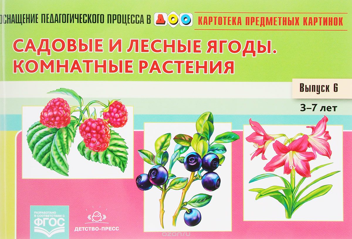 

Картотека предметных картинок. Наглядный дидактический материал. Выпуск 6. Садовые и лесные ягоды